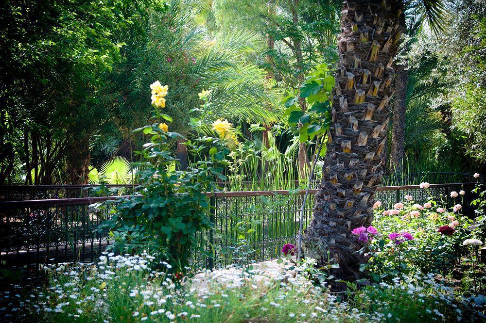 Dar Ayniwen Garden Hotel&bird Zoo 5*