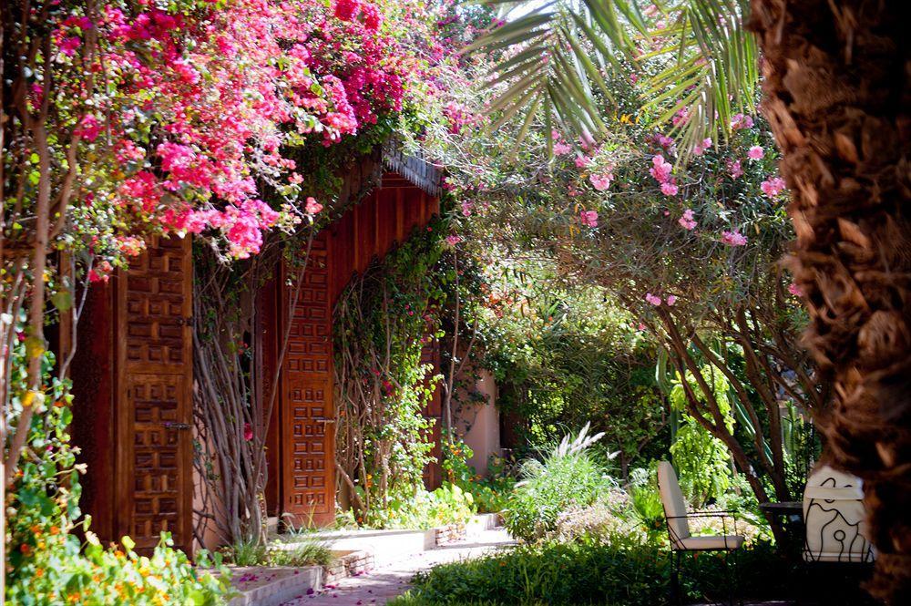 Dar Ayniwen Garden Hotel&bird Zoo Marrakesch