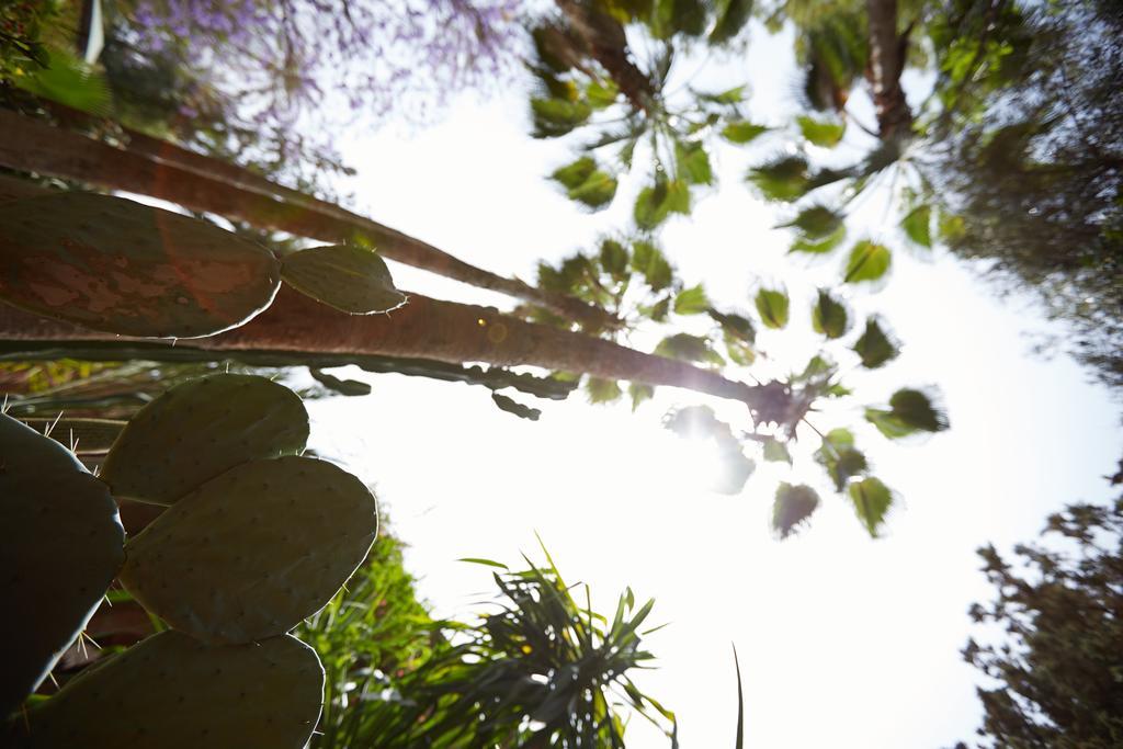 Gasthof Dar Ayniwen Garden Hotel&bird Zoo