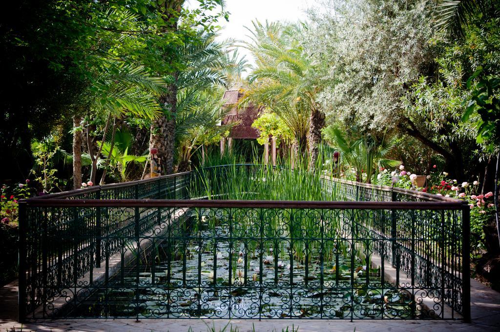 Dar Ayniwen Garden & Bird Zoo Pensión